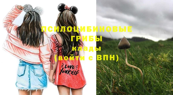 марки lsd Протвино
