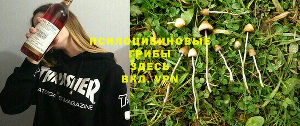 2c-b Болотное