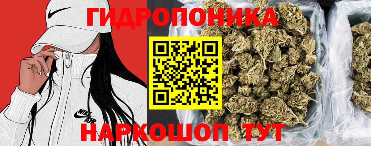 Канабис гибрид  Вход с VPN  Шишки марихуана план  Можайск  Каннабис Amnesia 
